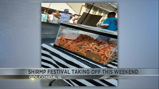 Shrimp Festival kicking off this weekend in Golconda [upl. by Esaertal]