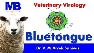 BLUETONGUE  Microbiology  Vivek Srinivas  Bluetongue BTV Veterinaryscience [upl. by Adnilec329]