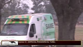 ESPECIAL PANADERIA EL TUNEL 2300 MTS HIPODROMO DE CHIVILCOY 962024 [upl. by Pitts747]