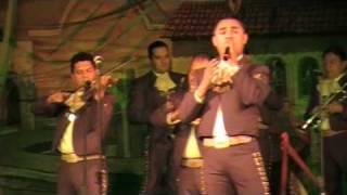 Las MañanitasHermoso Cariño  Mariachi Vargas [upl. by Annairdua]