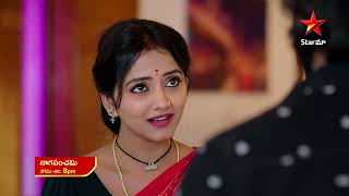 NagaPanchami  Promo  25th Dec 2023  Star Maa Serials  Mon Sat at 8 pm  Star Maa [upl. by Aihseyk]