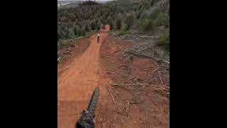 Sam’s Supercross  Linga Longa mtb mtblife supercross mtb commencal wearelusty gopro [upl. by Feldt]