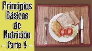 El Metabolismo Catabolismo y Anabolismo  Principios Básicos de Nutrición Parte 4 [upl. by Llarret]