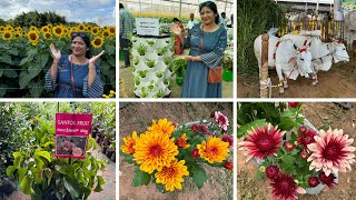 Bengaluru krishimela 2024  Plant shopping 🪴GKVK Fruit and flowering plantsherbs amp 🐠 [upl. by Kralc]