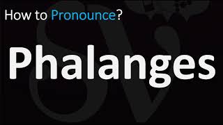 How to Pronounce Phalanges CORRECTLY [upl. by Goggin]