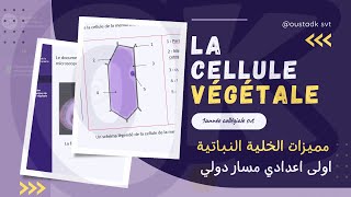 1AC SVT  Observation dune cellule végétale [upl. by Monique]