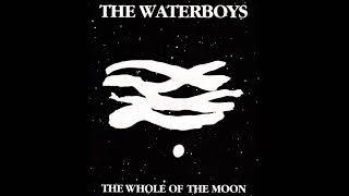 The Waterboys  The Whole Of The Moon 1985 [upl. by Kier663]