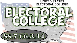 SS7CG314  Explain the purpose and function of the Electoral College in electing the President [upl. by Nivi]