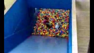 Ball Pool Pit Drop Slide Fun at Cornwalls Crealy Cornwall [upl. by Jacquie]