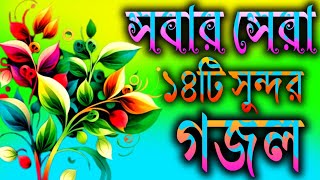 সবার সেরা বাছাই করা ১৪টি সুন্দর গজল  Top viral Gojal  Nahidghazal  GojalGojolGhazal gozol [upl. by Nairda]