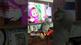 Hamari cat TV dekhti hain 😂😃😃 cute cat funnyvideo 🐈🐈😺😺 [upl. by Nwadahs]