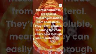 Ep 3 Did you know what steroid hormones are 🧬science hormones viralshorts facts trendingvideo [upl. by Kersten]