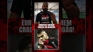 EUROPEUS QUEREM CRAQUE DO MENGÃO flamengo [upl. by Mulcahy]