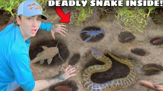 I Found a Mud Hole INFESTED with Deadly Snakes [upl. by Flynn10]