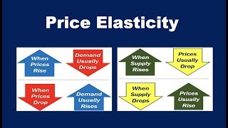 What is Price Elasticity [upl. by Manvil]