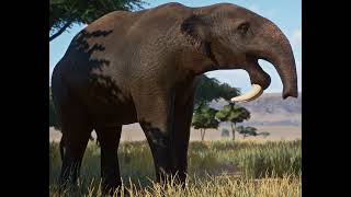 Deinotherium Giganteum Elephant Sounds JW [upl. by Anada]