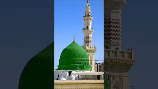 Madina Sharif trending viralshort youtubesearch shortsfeed automobile [upl. by Whitman]