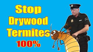 How to Prevent Drywood Termites 100 Guaranteed [upl. by Annamarie]