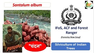 Chandan  Silviculture of Indian Trees for UPSC IFoS JPSC ACF and Forest Ranger [upl. by Fiertz]