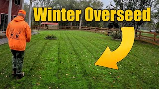 Overseeding Fall Lawns for Winter [upl. by Helbonnas363]