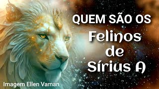 QUEM SÃO OS FELINOS DE SÍRIUS A [upl. by Yelekreb647]