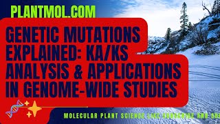 Genetic Mutations Explained KaKs Analysis amp Applications in GenomeWide Studies 🧬✨ [upl. by Cardinal40]