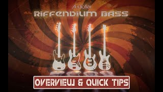 Audiofier RIFFENDIUM BASS Vol 1 FunkSoul  Short Overview and Quick tips [upl. by Akemrehs]