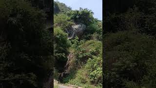 Nature Hills Falls Mountain Adalur Thonimalai Dindigul Pandrimalai Forest MoongilKadagale [upl. by Rep]