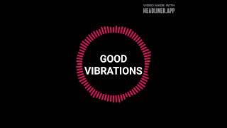 GOOD VIBRATIONS SONG BY MARKY MARK amp THE FUNKY BUNCH [upl. by Aidyl]