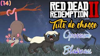 14 Tuto de Chasse BLAIREAU  OPOSSUM  Où Les Chasser  RED DEAD REDEMPTION 2 [upl. by Zales]