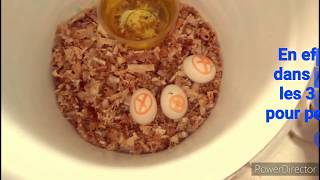 couveuse maison pour œufs de poule How to make egg incubator at Home [upl. by Farleigh]