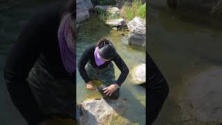 😱😱Deep pool giant clams enchanting pearls [upl. by Noskcire]