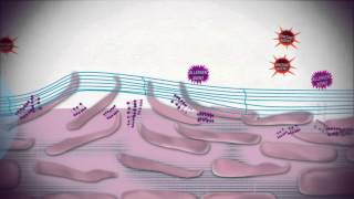 Uriage Bariederm  Isolating and repairing skincare [upl. by Dleifyar]