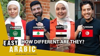 Lebanese vs Egyptian vs Tunisian vs Standard Arabic a dialect comparison  Easy Arabic 2 [upl. by Odnanreh]