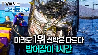 방어 추격 14시간 마라도 방어 어획 1위 배에 탔더니 다르긴 다르다 60년 경력 선장의 남다른 방어잡이｜한국기행｜골라듄다큐 [upl. by Ellesij]