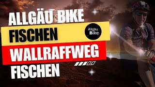 Bike Tour Wallraffweg mit Seealpe Oberstdorf [upl. by Martina]