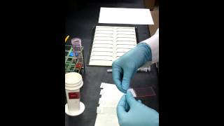 How to make a Cytology Smear [upl. by Nylevol]