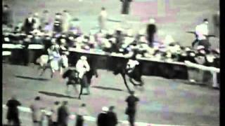 Fort Leney The 1968 Cheltenham Gold Cup [upl. by Aciraj757]