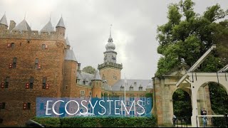 Ecosystems by Prof Dr Annemieke Roobeek [upl. by Dare]