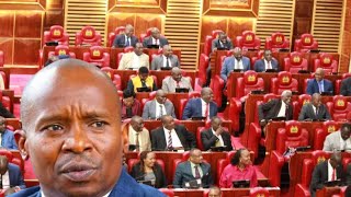 SEE HOW MPs VOTED ON RUTO APPOINTEE KINDIKI TO POSITION OF DEPUTY PRESIDENT AFTER GACHAGUA IMPEACHED [upl. by Nevak164]