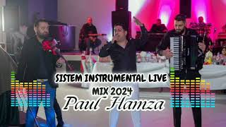 Paul Hamza ❌️ Sistem Instrumental Mix 2024  Manele Live [upl. by Airetnuhs643]