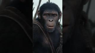 Movie  Kingdom Of The Planet Of The Apes movies apes [upl. by Odlanir621]