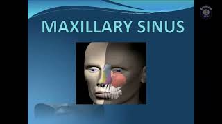 MAXILLARY SINUS [upl. by Annaes]