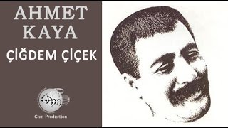 Çiğdem Çiçek Ahmet Kaya [upl. by Mylan641]