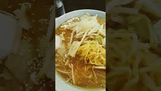 石巻市伊勢町 札幌ラーメン島っ子さん 味噌ラーメン [upl. by Hatti898]