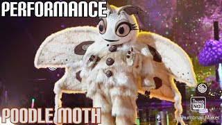 Poodle Moth Performs quotPrice Tagquot By Jessie J FT BOB  Masked Singer  S11 E10 [upl. by Anelej]