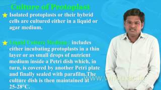 Protoplast Isolation amp Culture [upl. by Niltag669]