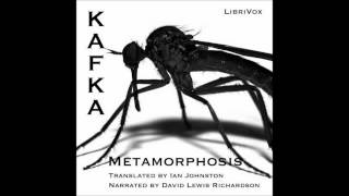 The Metamorphosis by Franz Kafka Free Audio Book in English Language [upl. by Heshum]