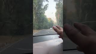 Is there any solution for windshield cracked😲😬 [upl. by Willyt]