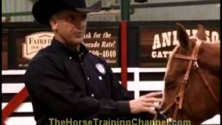 Champion Horse Training Tip 7 Benefits of Using A Sidepull [upl. by Viv]